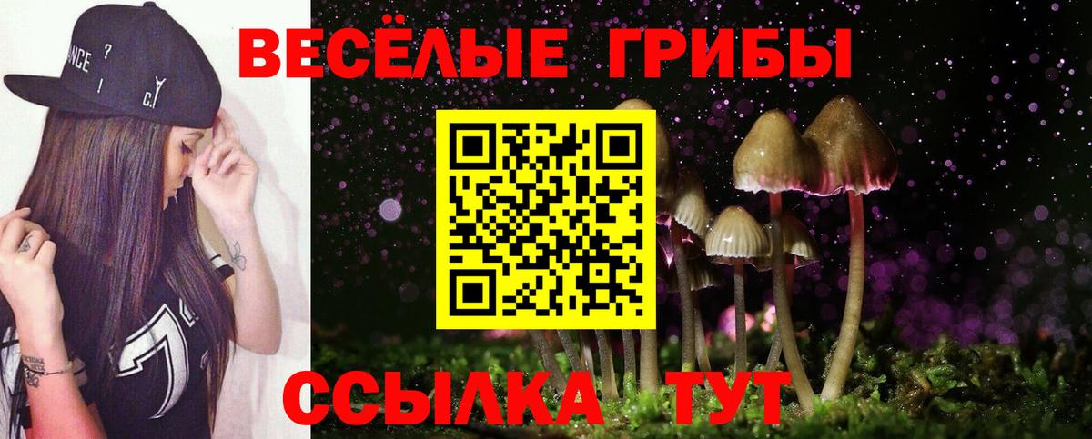 Псилоцибиновые грибы мухоморы Вичуга