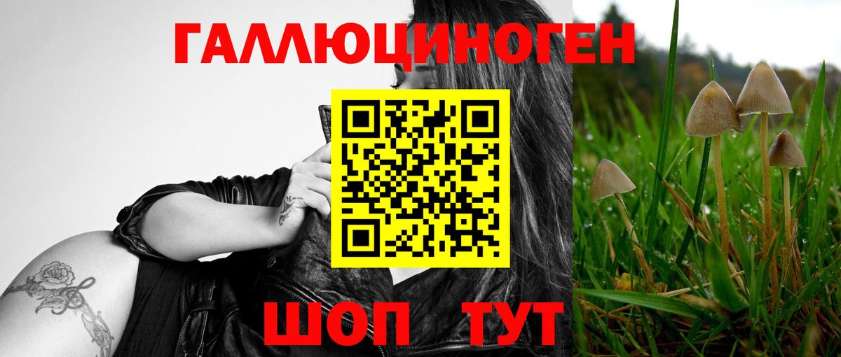 Псилоцибиновые грибы Psilocybe  Галлюциногенные грибы Psilocybe  Вход с VPN  Вичуга 